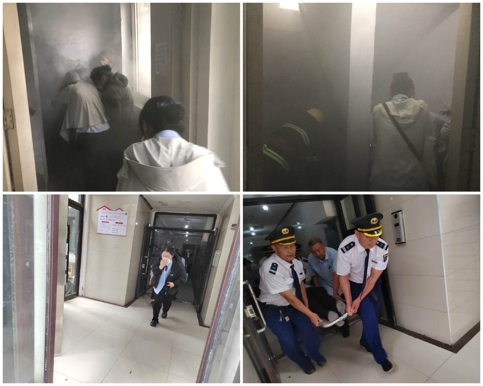 Collage2.jpg
